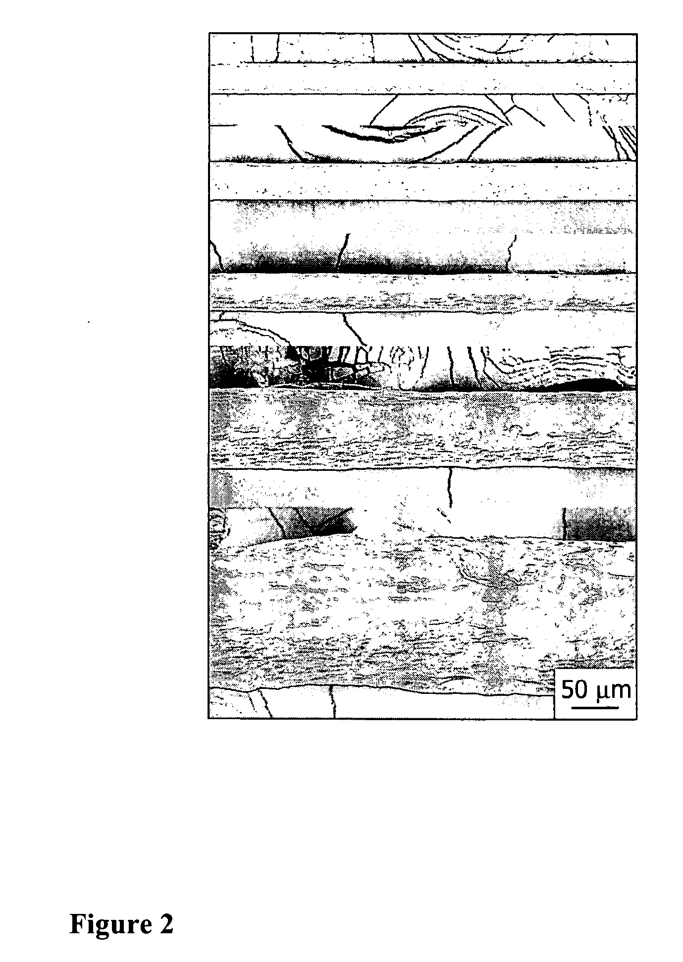 Polymer-nanotube composites, fibers, and processes