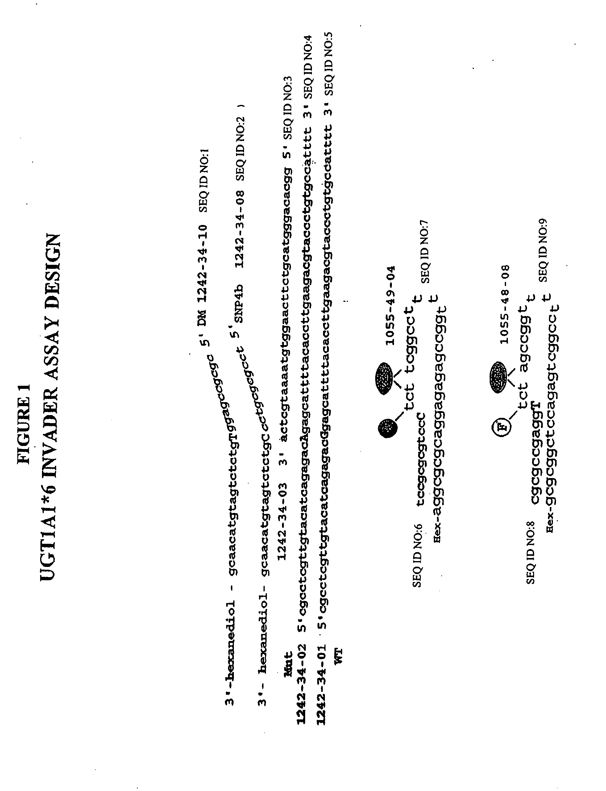 Methods and compositions for analysis of UGT1A1 alleles