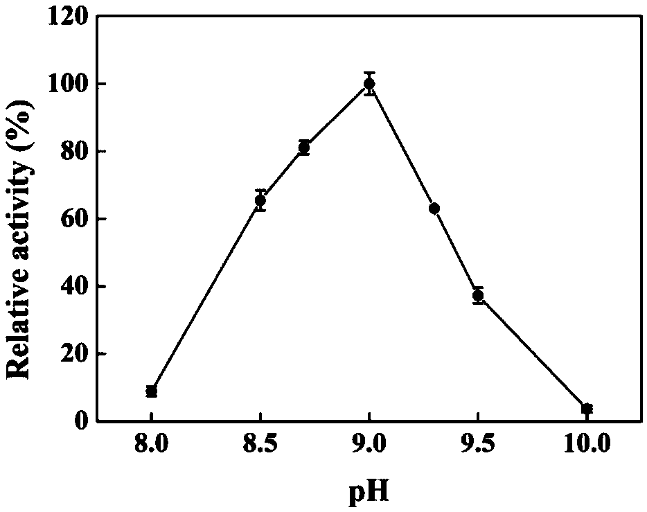 Thermostable citrate synthase gene, engineered bacterium containing gene and expression method thereof