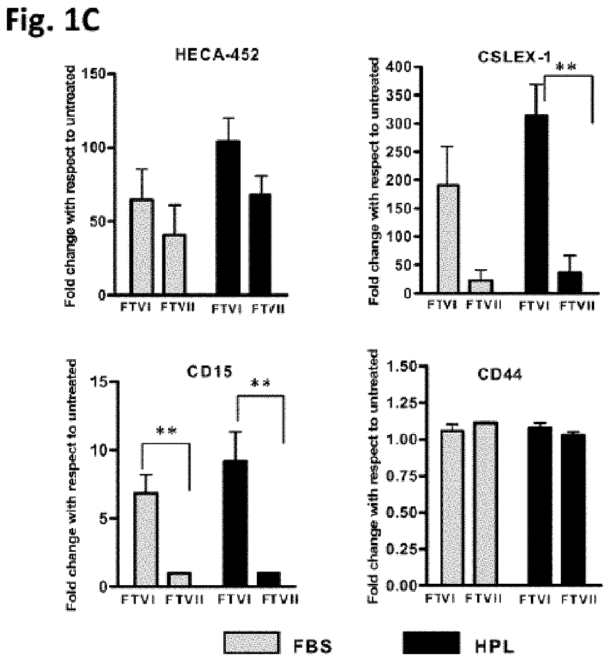 Compositions and methods for production of exofucosylated cells for clinical applications