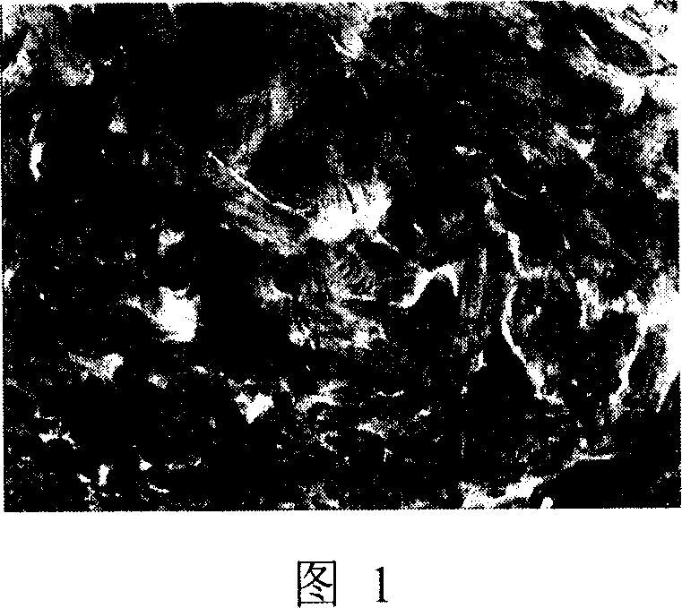 Method for preparing agent of adding grease for graft copolymerization of colza oil