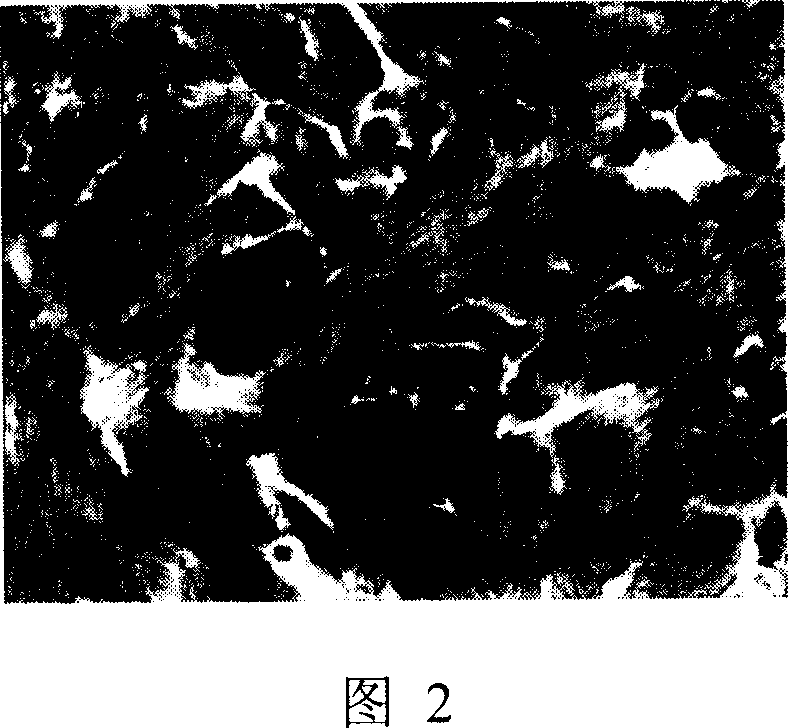 Method for preparing agent of adding grease for graft copolymerization of colza oil