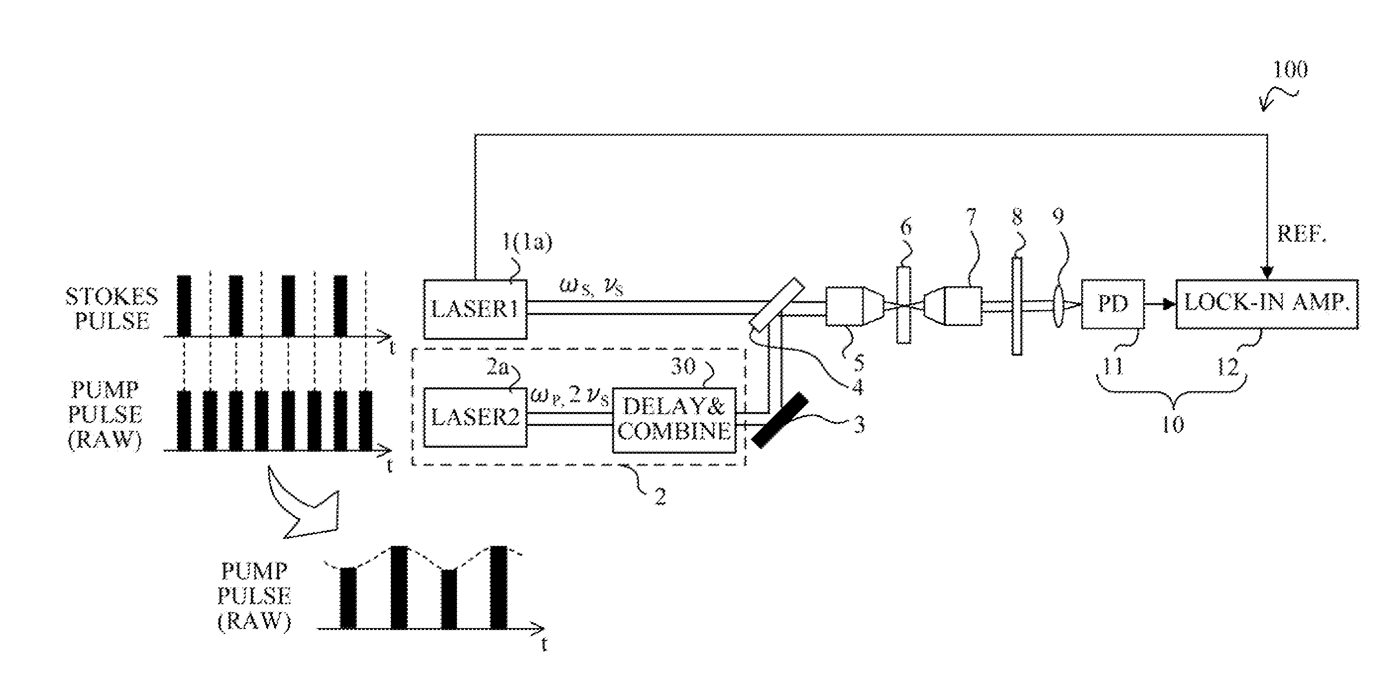 Stimulated raman scattering detection apparatus