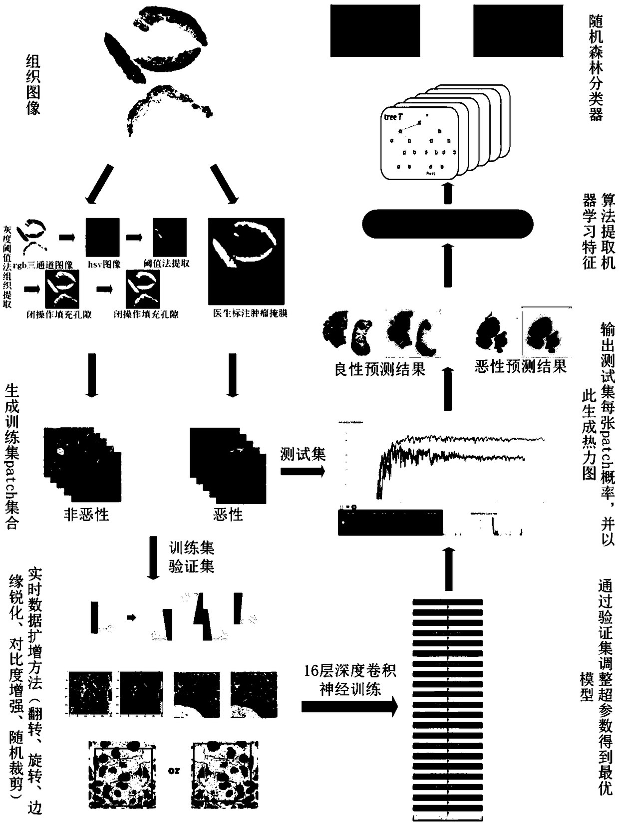 Malignant melanoma and non-malignant melanin nevus classification method based on deep learning