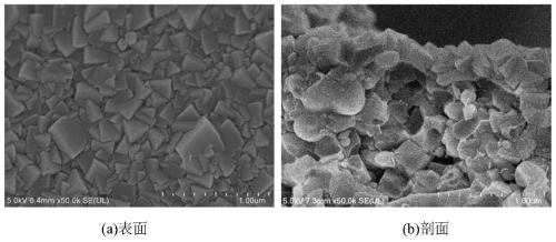 Economic synthesis method of ultrathin SSZ-13 molecular sieve membrane