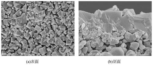 Economic synthesis method of ultrathin SSZ-13 molecular sieve membrane