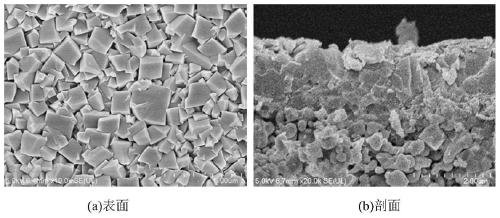 Economic synthesis method of ultrathin SSZ-13 molecular sieve membrane