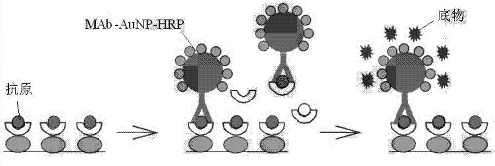 Enzyme immunoassay method for heavy metal chromium detection and enzyme immunoassay detection reagent kit