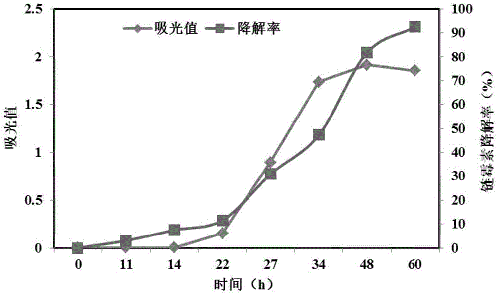 Brevundimonas naejangsanensis S3 and application thereof