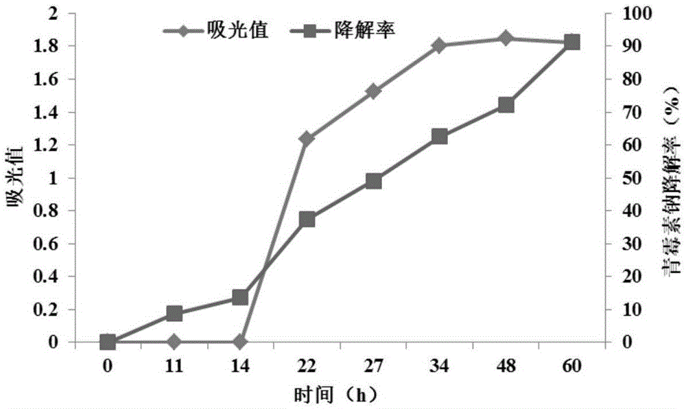 Brevundimonas naejangsanensis S3 and application thereof