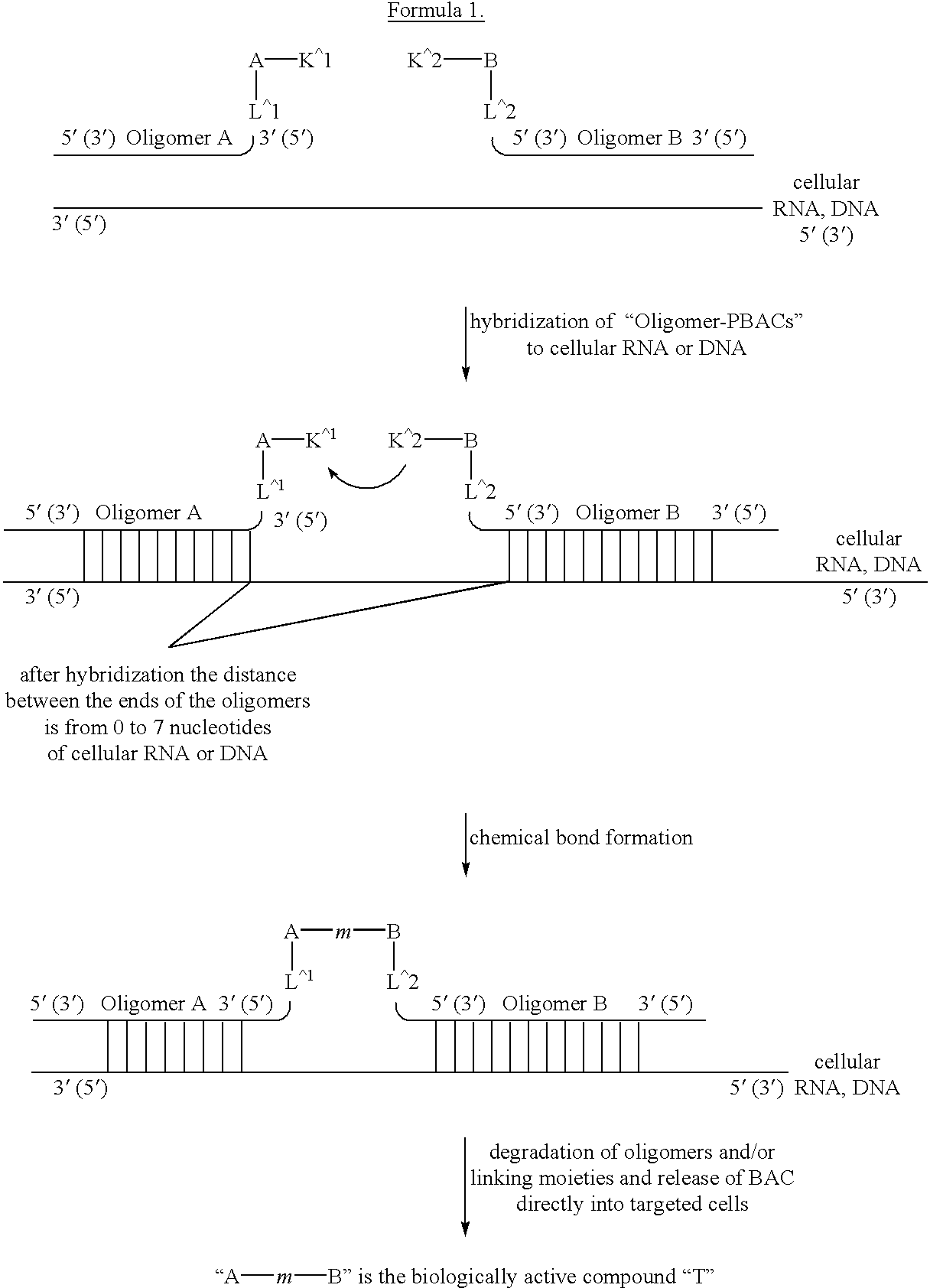 Synthesis of biologically active compounds in cells