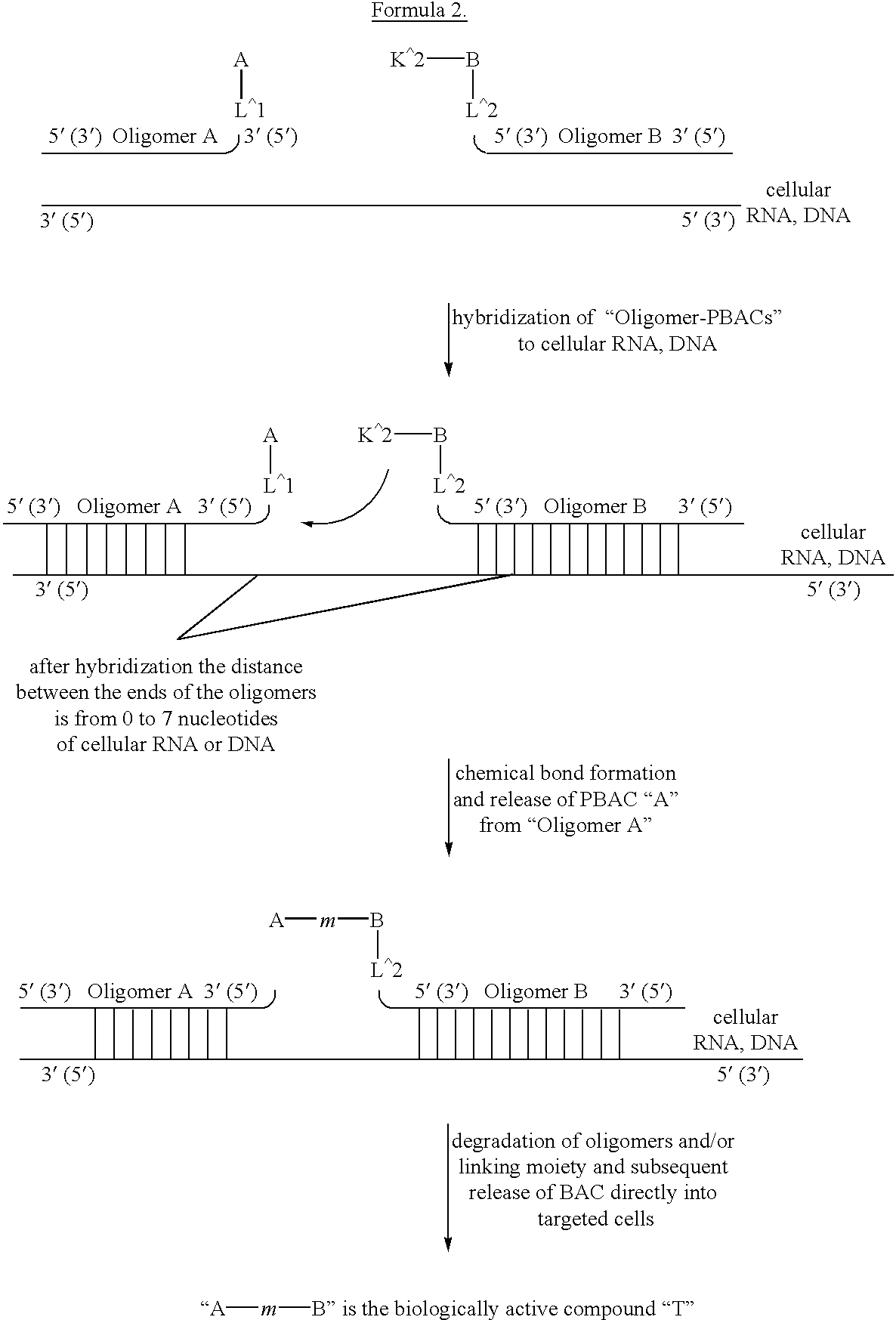 Synthesis of biologically active compounds in cells