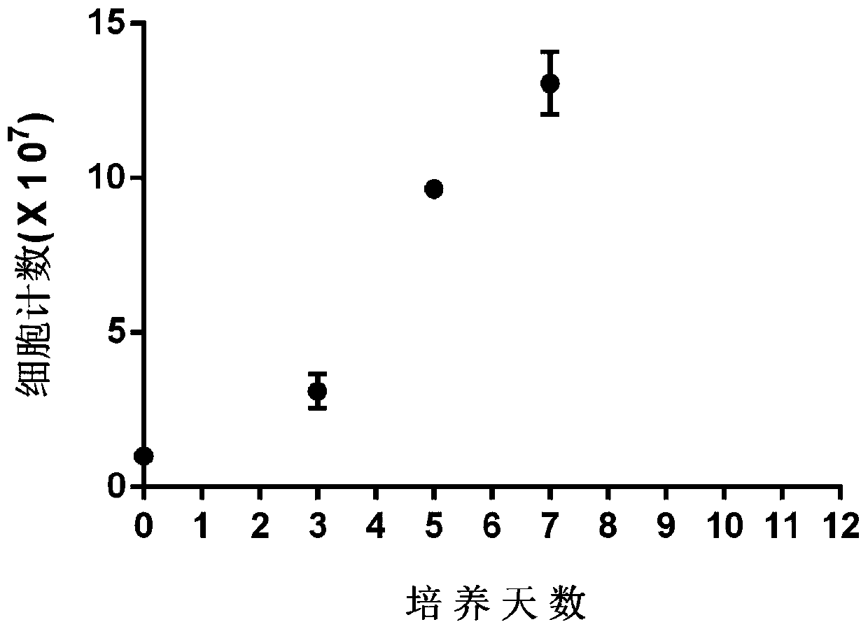 Immune cells capable of clearing latent infections in vivo, preparation method and application thereof