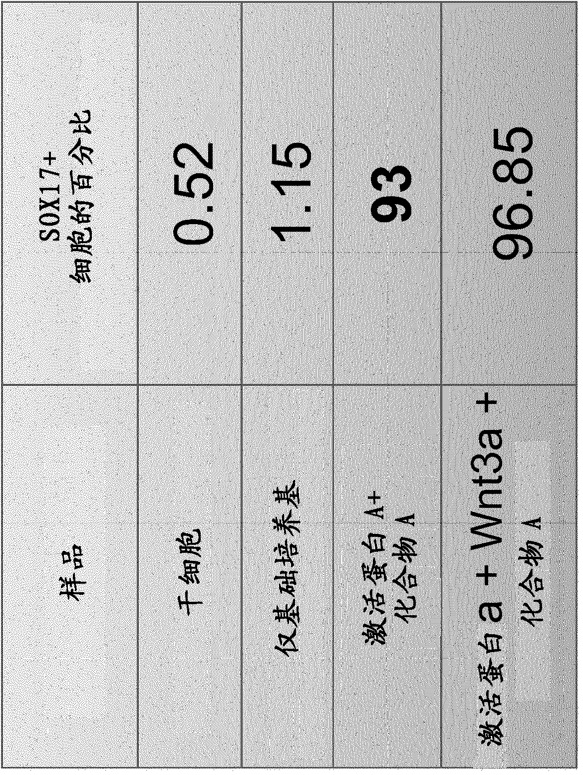 Compositions and methods of obtaining and using endoderm and hepatocyte cells