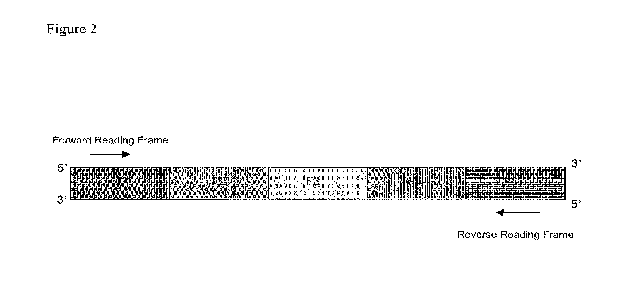 Method For Producing Proteins