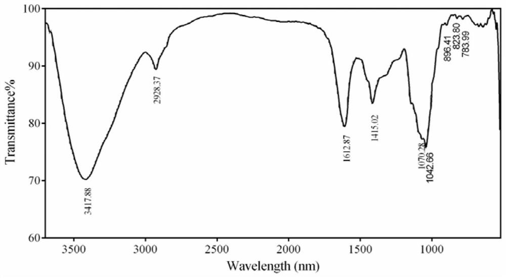 Burdock root polysaccharide prepared by utilizing rhizopus nigricans fermentation as well as production process and application of burdock root polysaccharide