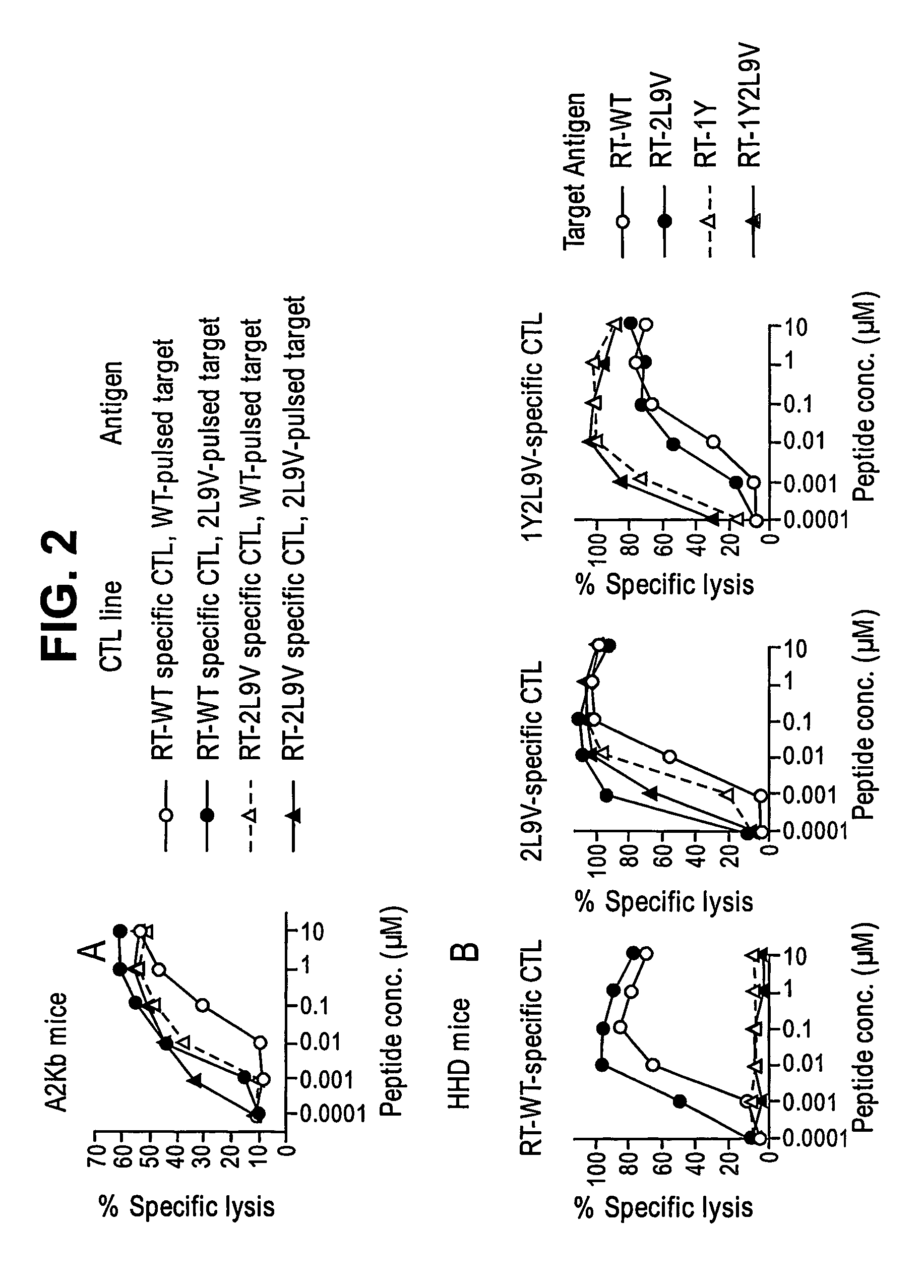 Enhanced CTL epitope-containing HIV-1 reverse transcriptase polypeptides