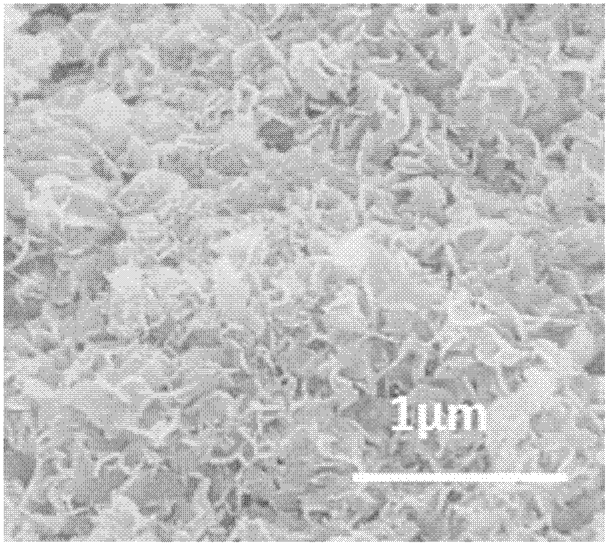 Method for preparing nanometer nickel oxide and application of method