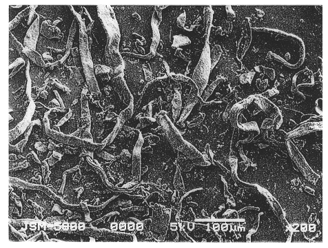 Photocatalytic pulp composition