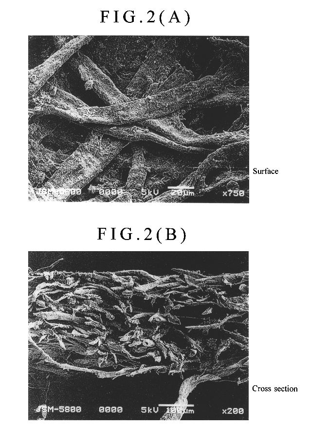 Photocatalytic pulp composition