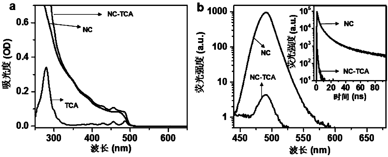 The heterojunctions are dissociated based on multiple excitons of perovskite nanocrystals and acene molecular materials