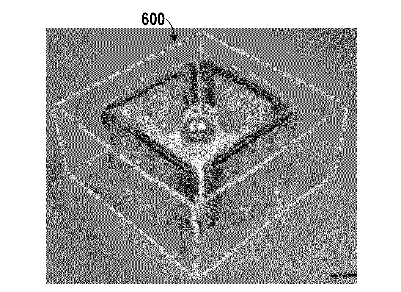 System for Harvesting Water Wave Energy