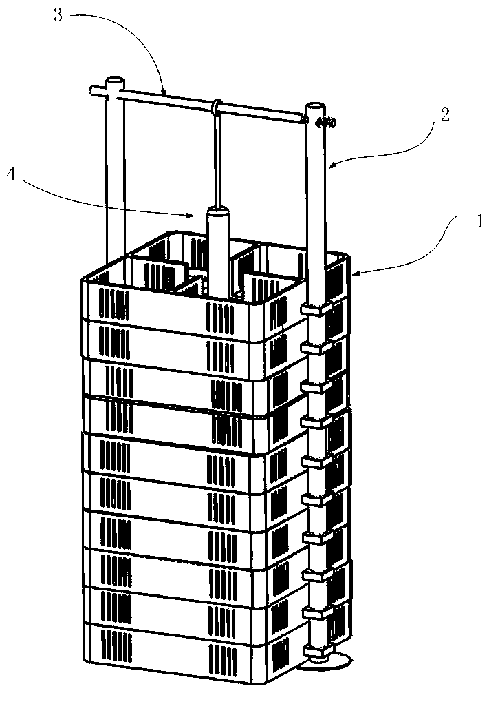 Rapid culture device and culture method for oyster monomer