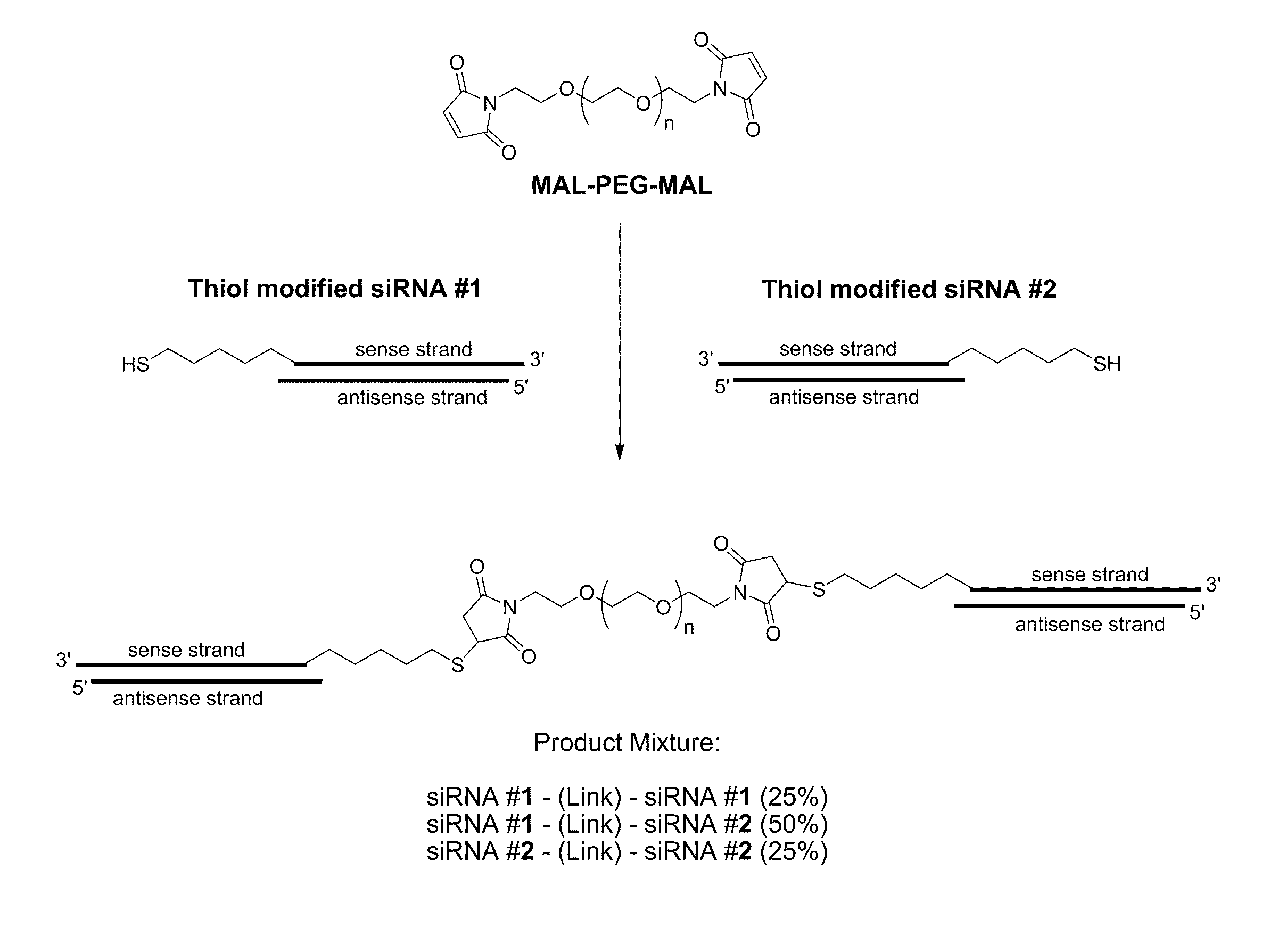 METHODS AND COMPOSITIONS FOR IMPROVED THERAPEUTIC EFFECTS WITH siRNA