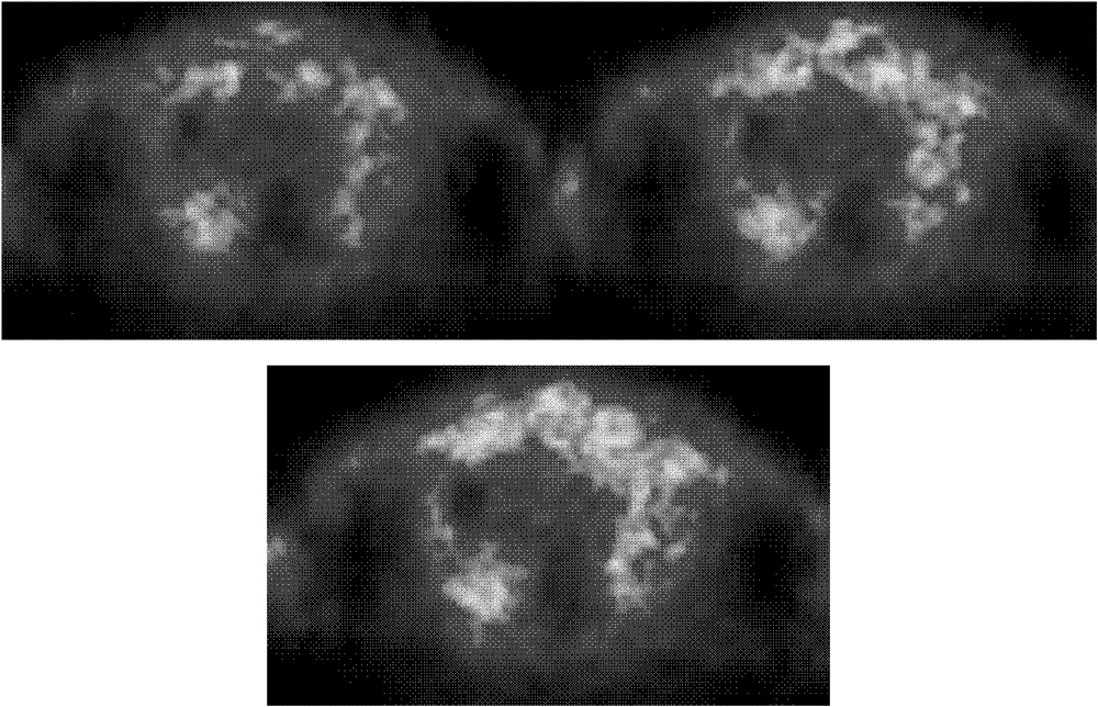 Oxygen-containing isotope compound, preparation method, application and composition