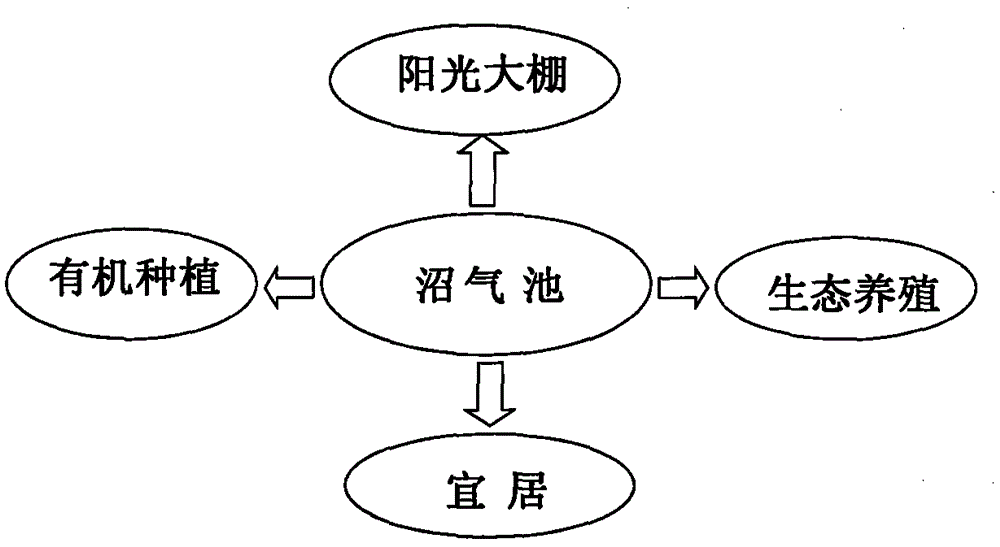 Novel agricultural livable eco system