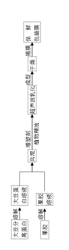 Method for preparing degradable dry beancurd preservation packaging film