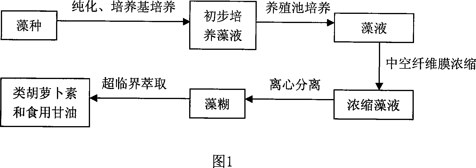 Method of extracting carotenoid and edible glycerol from Dunaliella sallina