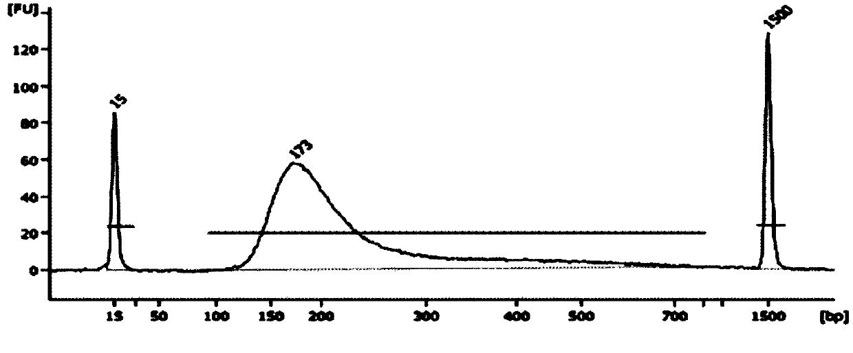 Gene library construction method of hereditary gynecologic tumors and kit