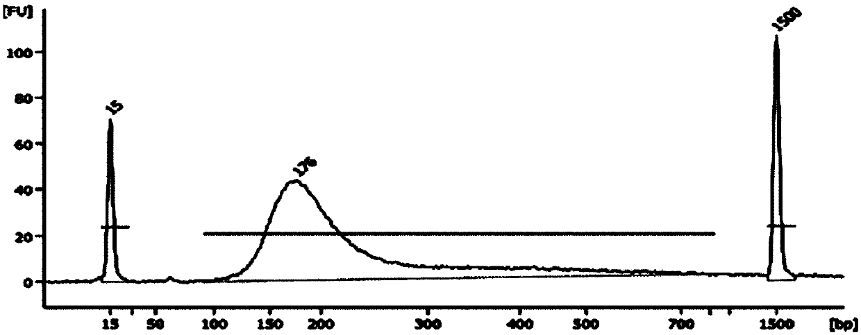 Gene library construction method of hereditary gynecologic tumors and kit