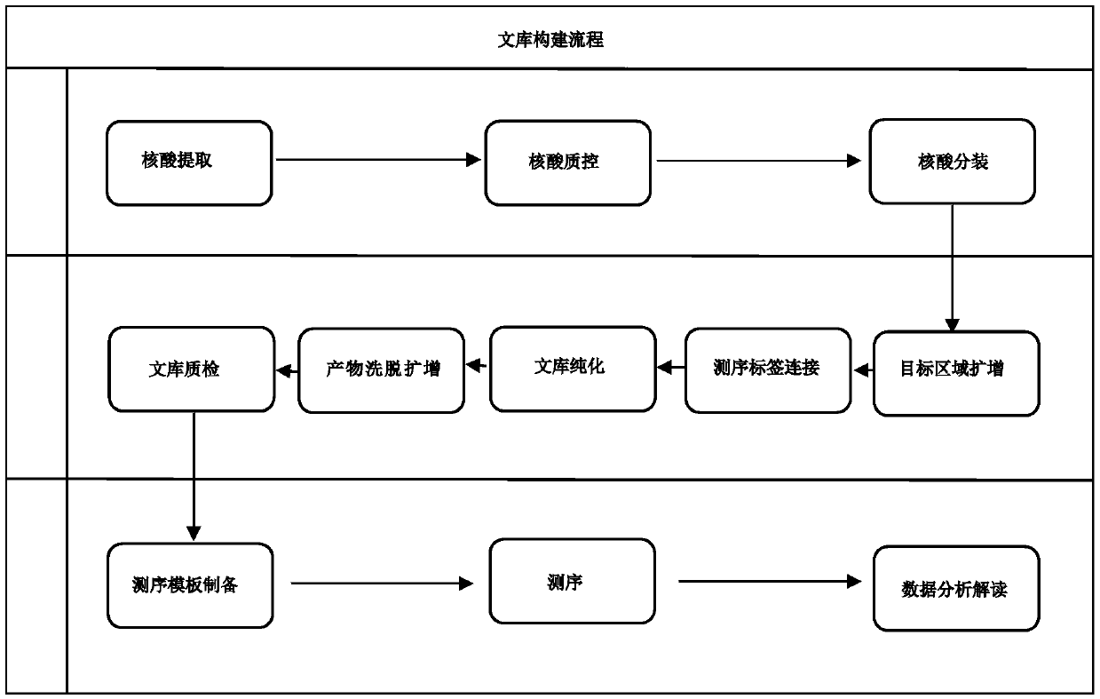 Gene library construction method of hereditary gynecologic tumors and kit