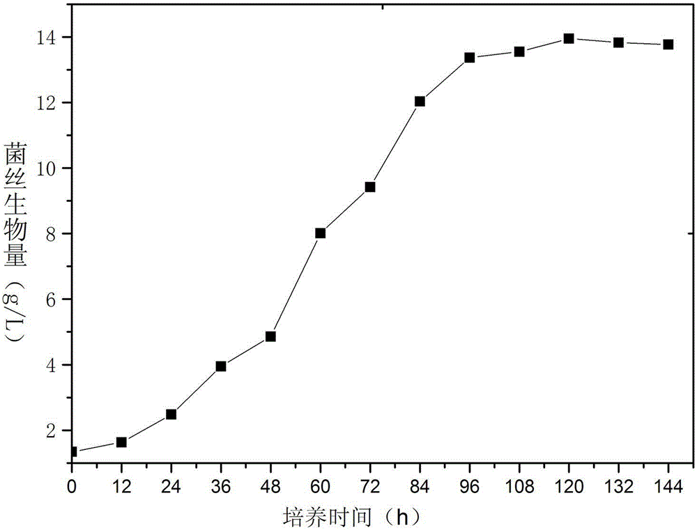 Method for cultivating liquid-state morchella strain