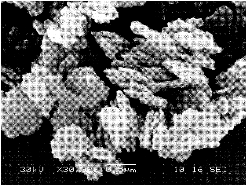 Method for preparing magnesium hydroxide from acid-dissolved magnesium ion-containing raw materials