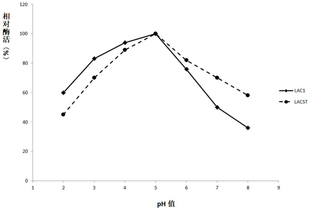 Fungus laccase as well as preparation method and application thereof