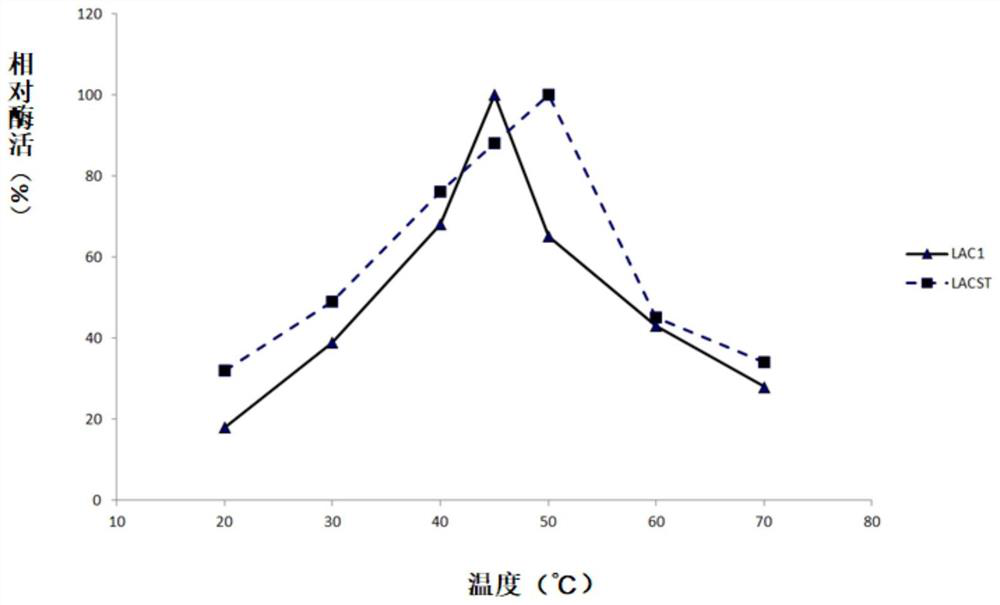 Fungus laccase as well as preparation method and application thereof