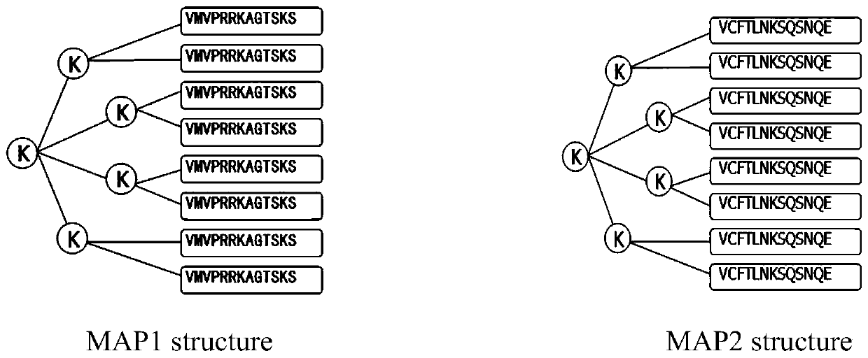 B-cell epitope of tnf-α protein, multi-antigen peptide containing this epitope and application