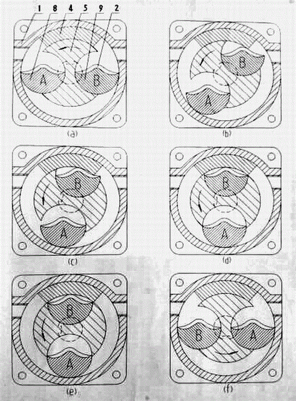 Fluid machinery with a rotary piston structure