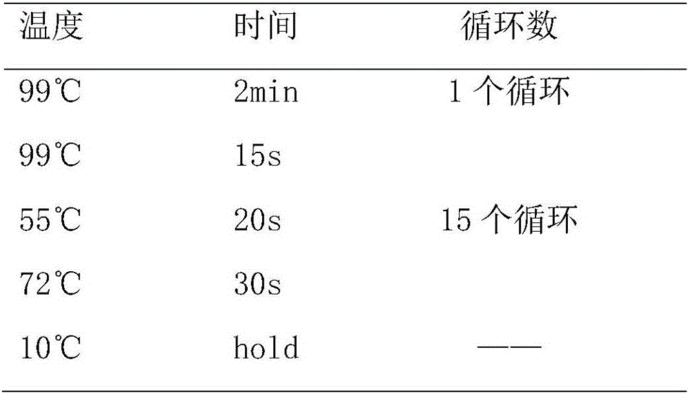 Breast cancer susceptibility gene variable library construction method