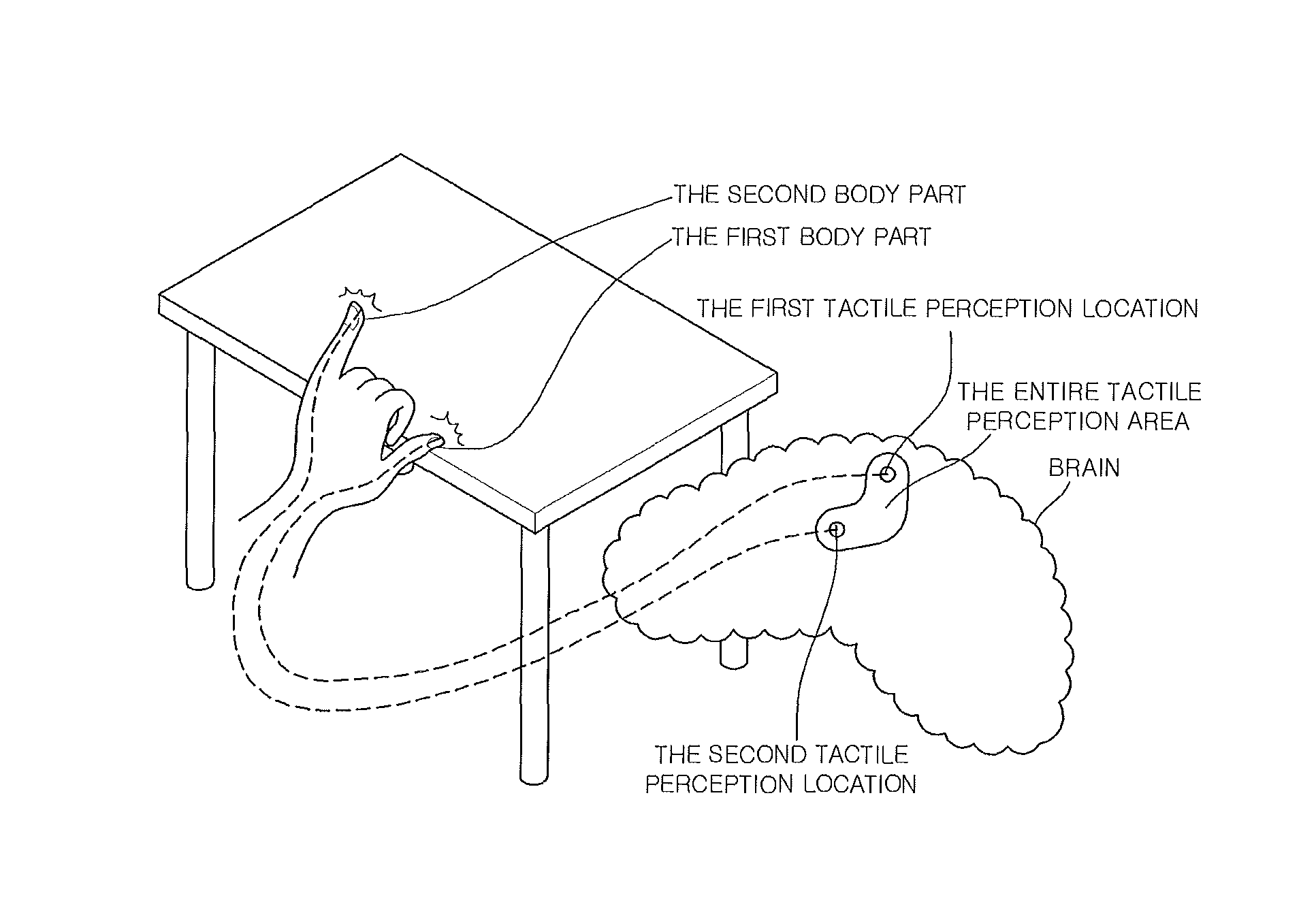 Apparatus, method, and computer-readable recording medium for generating tactile sensation through non-invasive brain stimulation using ultrasonic waves