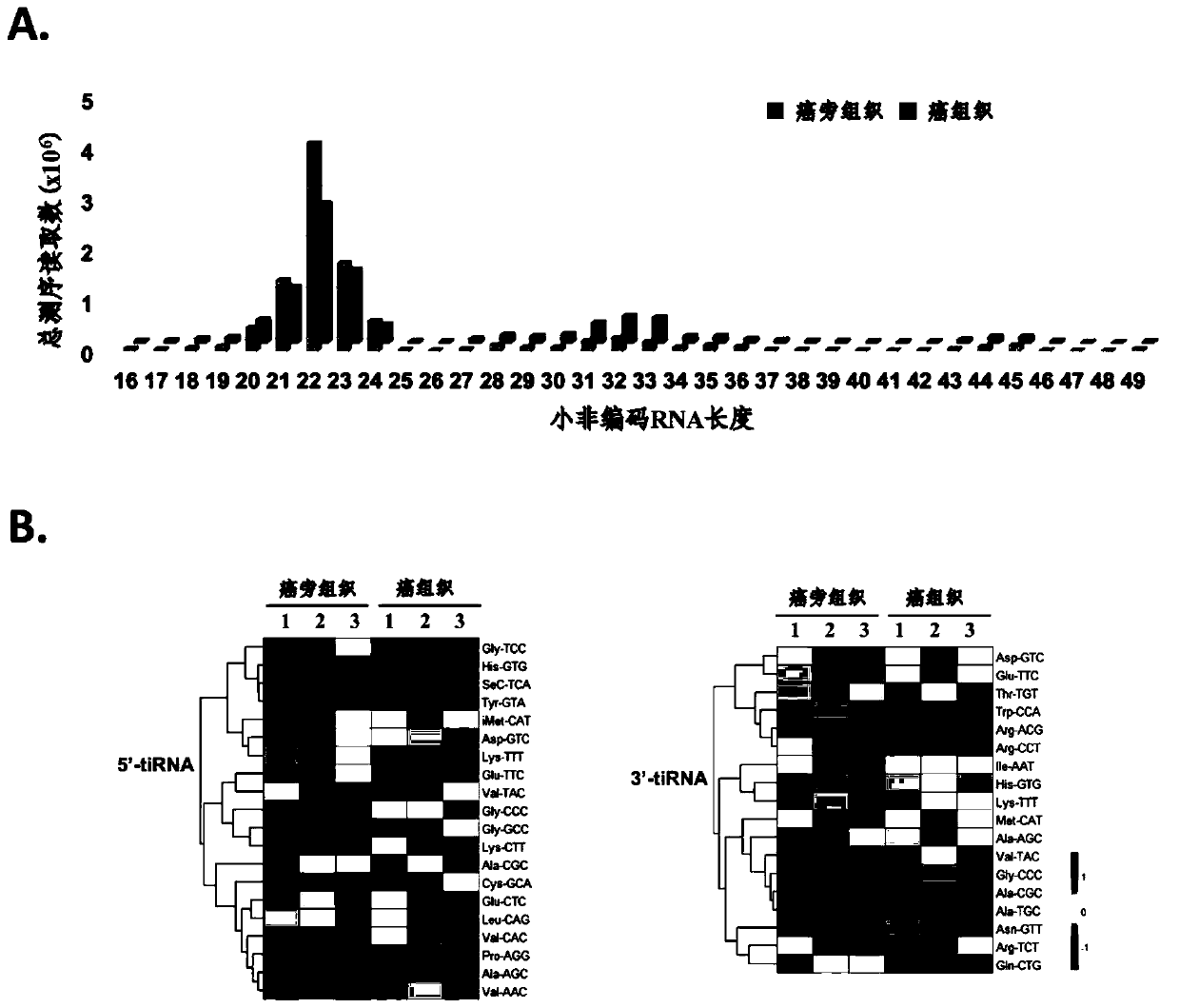 Application of tiRNA as drug target in metastasis treatment of colorectal cancer