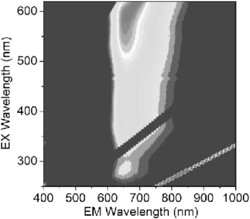 Red fluorescence polymer and red fluorescence powder, preparation methods and applications thereof