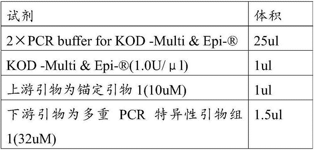 Multiplex PCR primer and method for detecting gene fusion through combination of anchored nested multiplex PCR and high-throughput sequencing