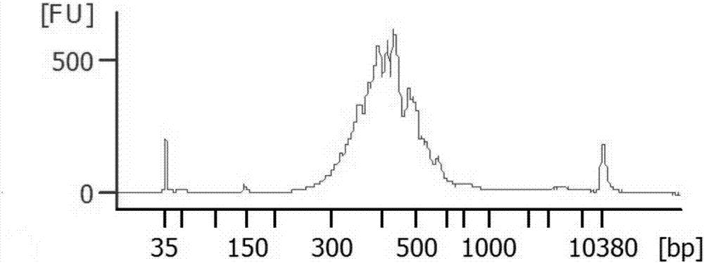 Multiplex PCR primer and method for detecting gene fusion through combination of anchored nested multiplex PCR and high-throughput sequencing