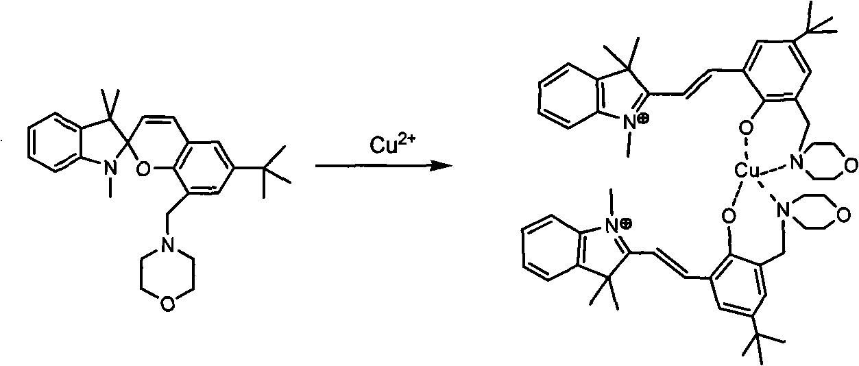 Copper ion test paper and preparation thereof