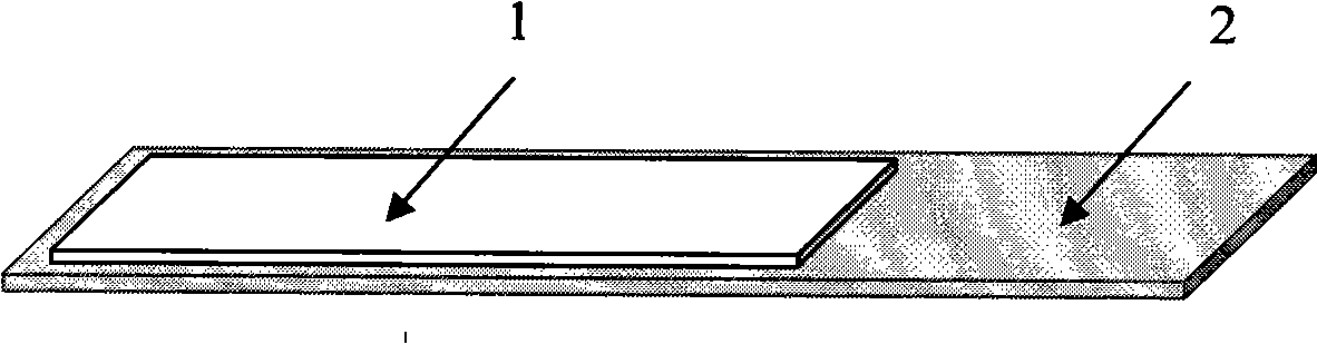 Copper ion test paper and preparation thereof