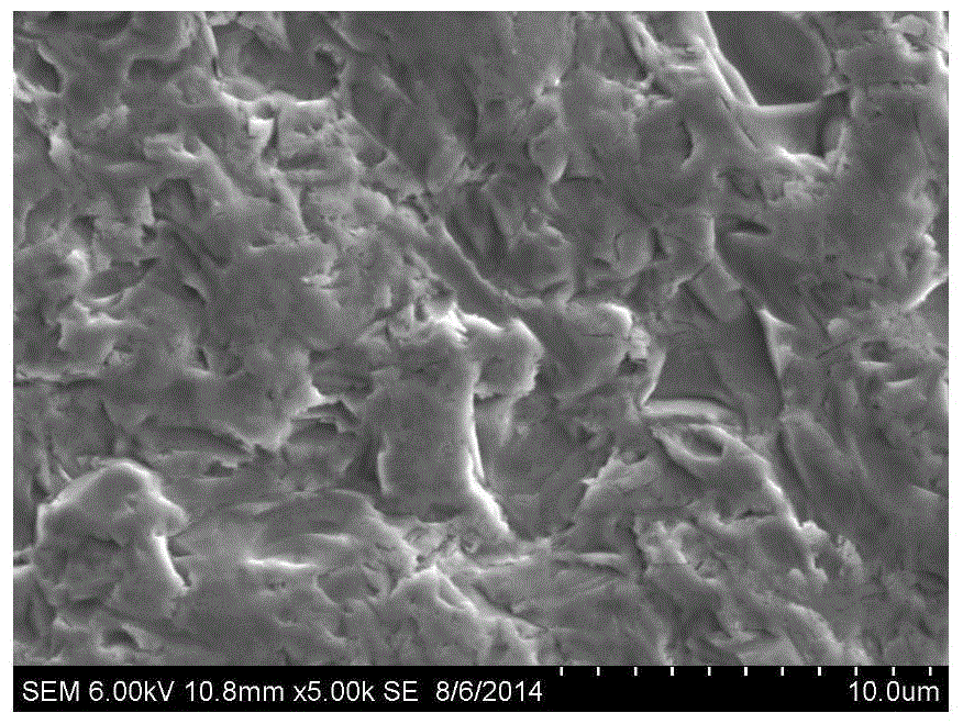 Texture pretreatment liquid for diamond wire cutting polycrystalline silicon wafer, texturing pretreatment method, texturing pretreatment silicon wafer and application thereof